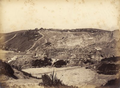 Blue Spur, mid 1870s by Herbert Deveril